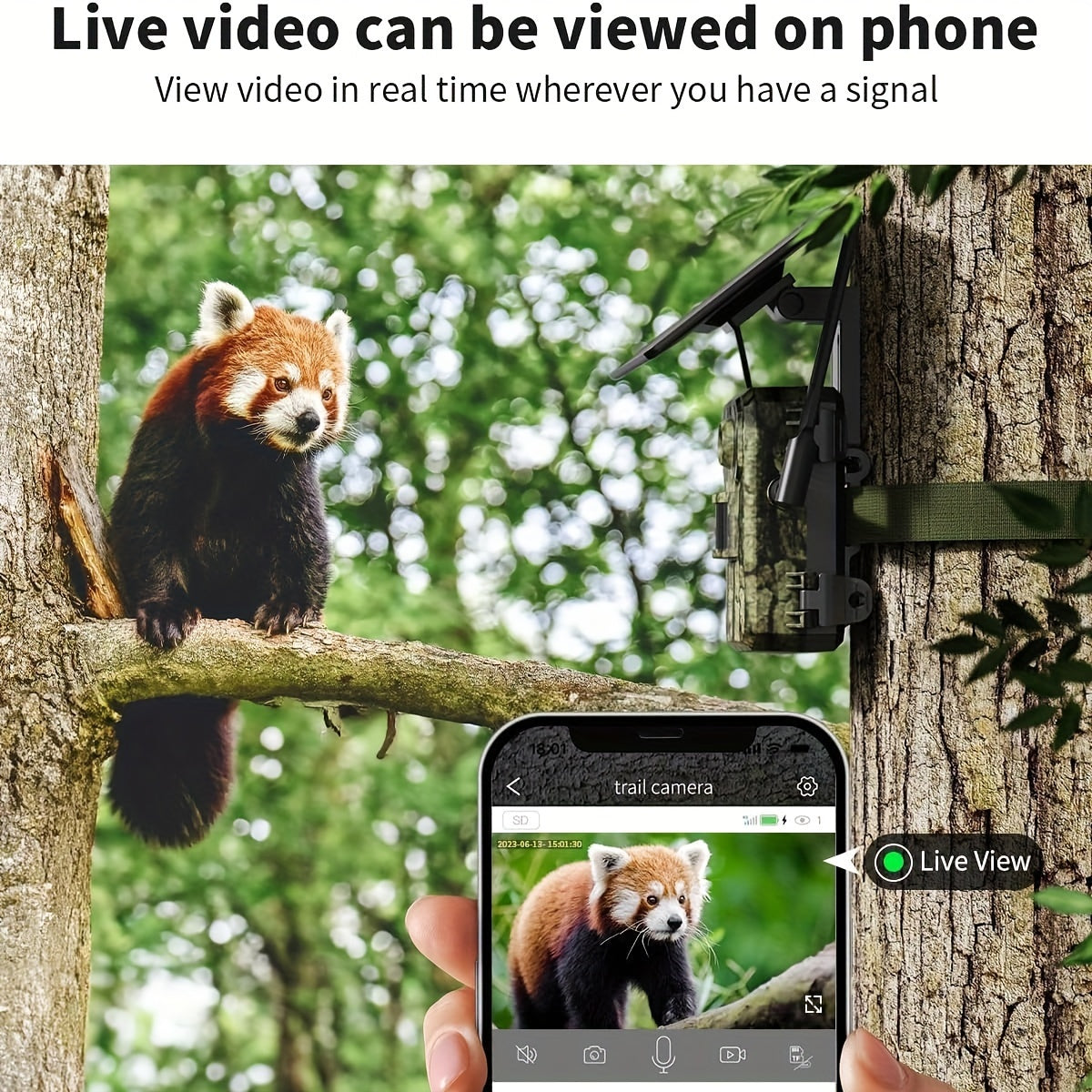 3G/4G LTE Cellular Trail Camera With Real-time Viewing