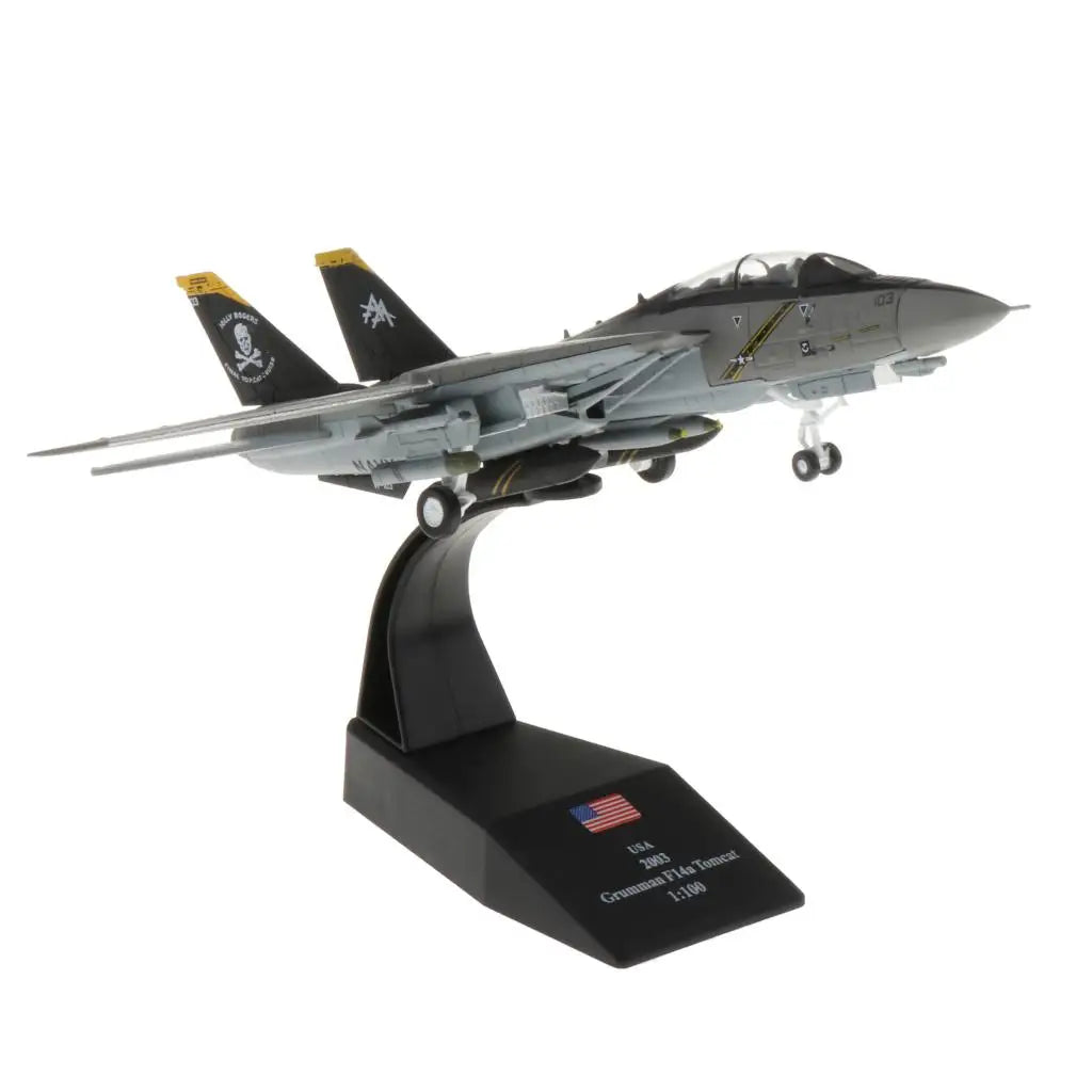 1:100 F-14  Super Flanker Jet Fighter