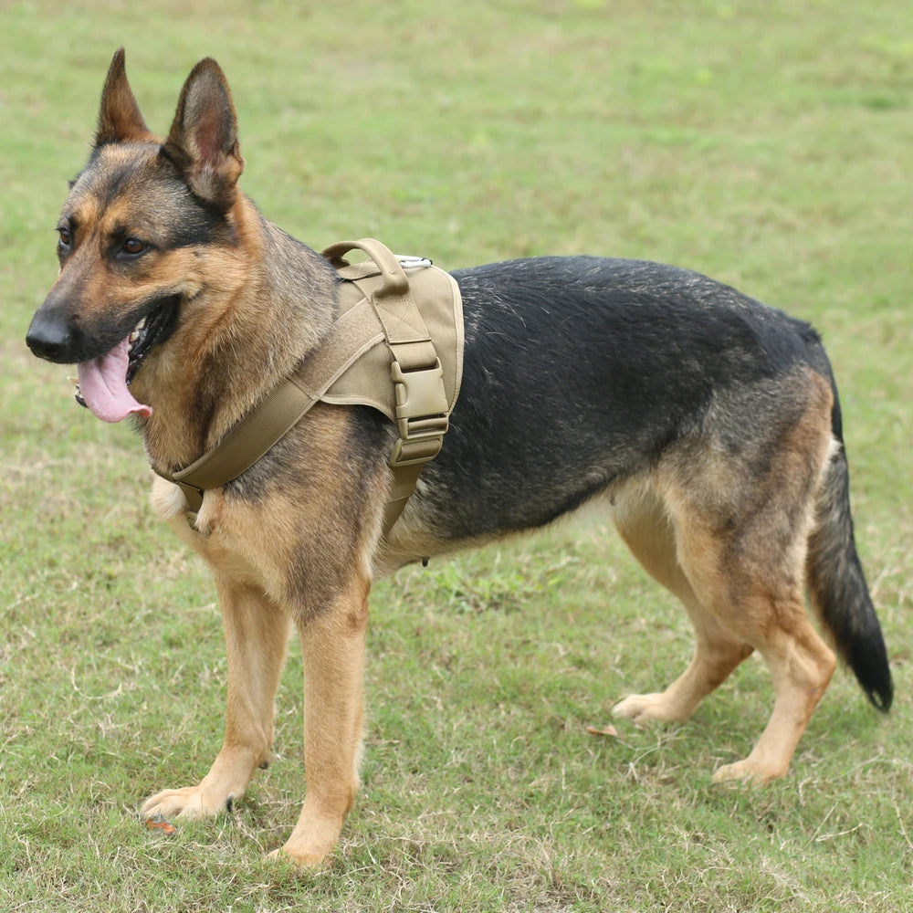 Tactical Training Dog Harness