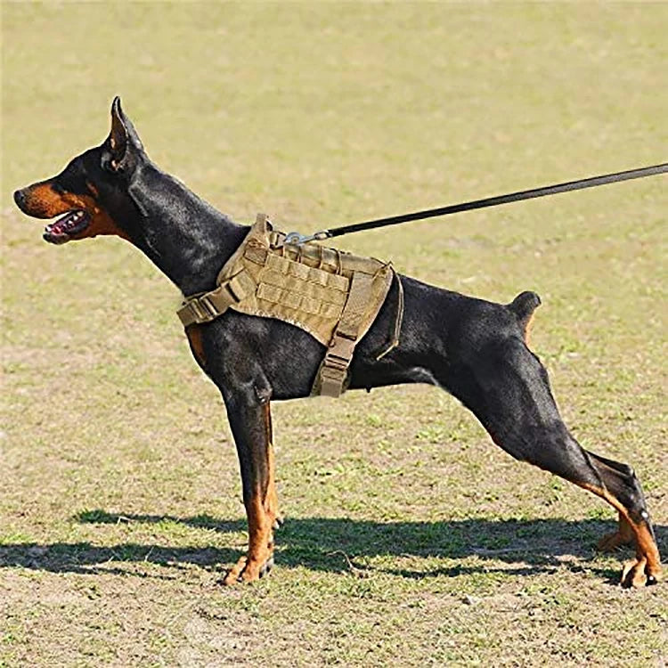 Pet Training Vest Dog