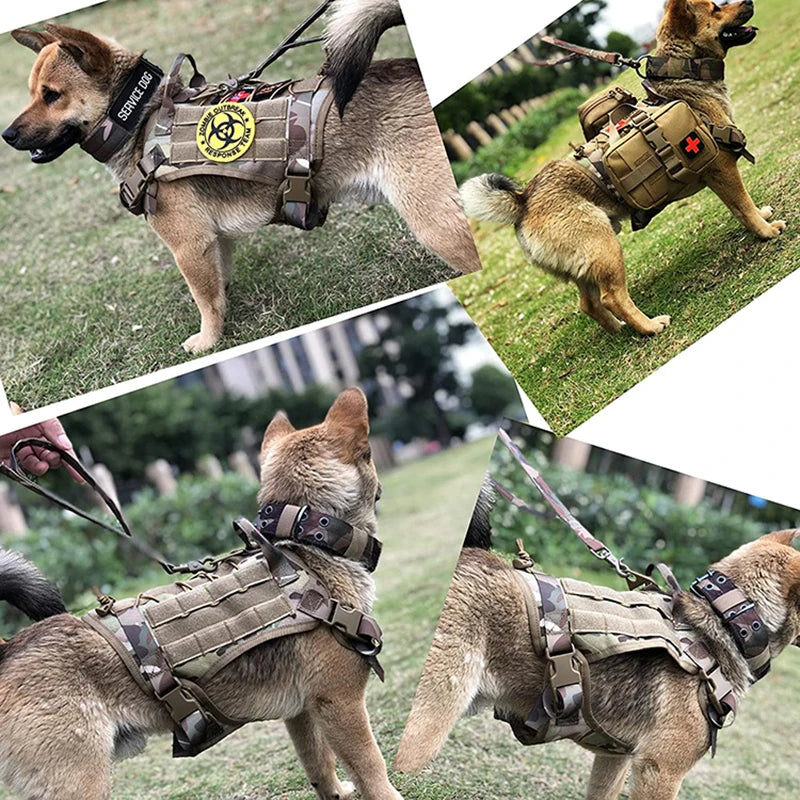 Pet Training Vest Dog