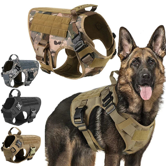 Pet Training Vest Dog