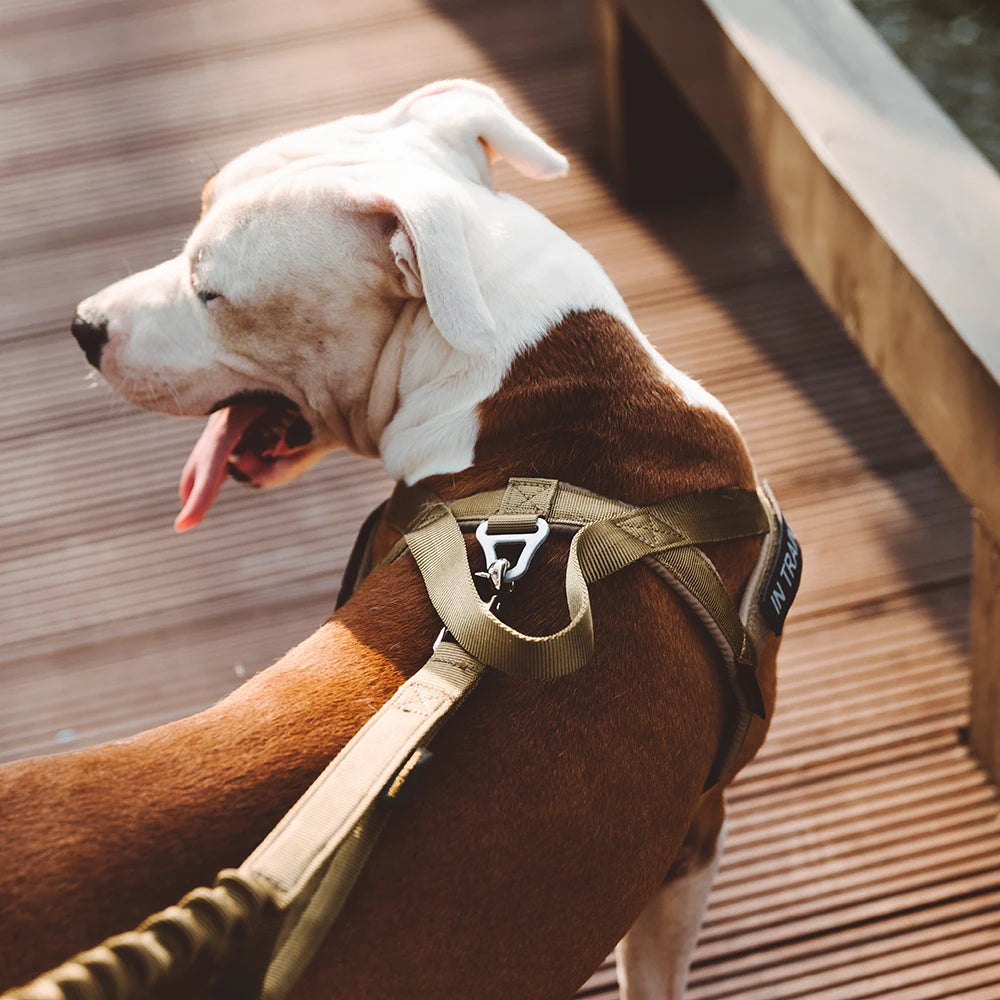 High Quality Adjustable Chest Strap Vest Pets